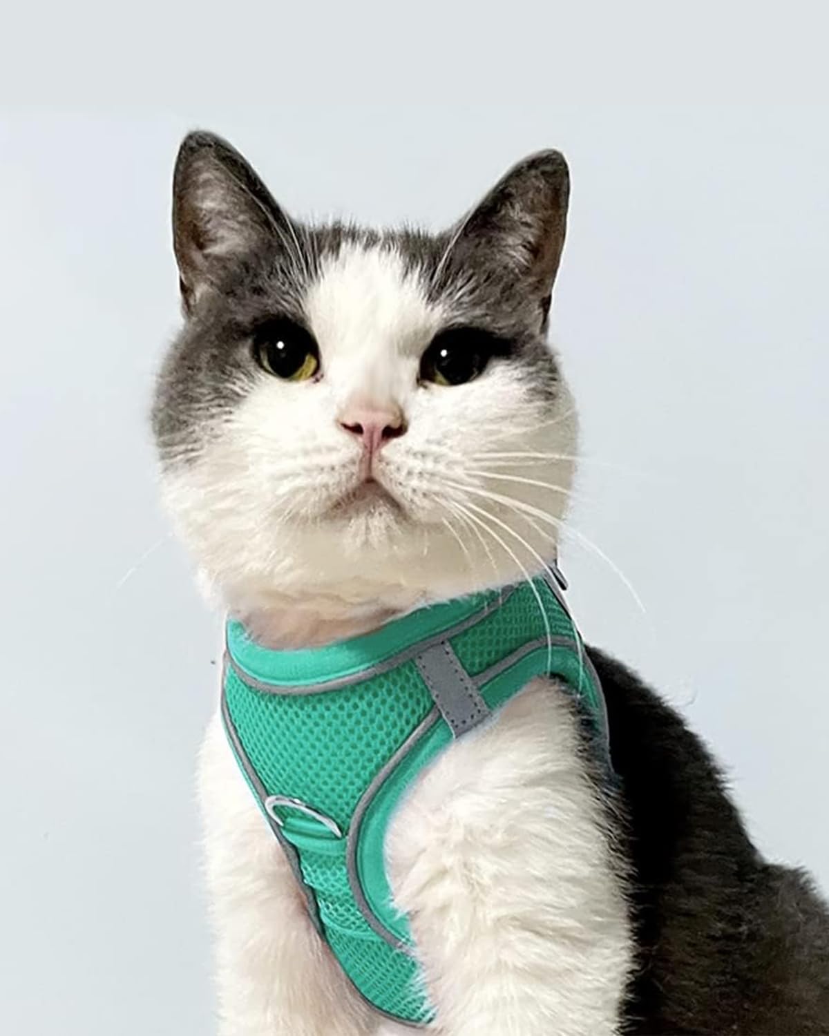 Joytale Small Dog Harness, Breathable Mesh Step-in Vest, Reflective Soft Padded Harnesses for Cats, Puppies and Extra Small Dogs, Teal, XXS