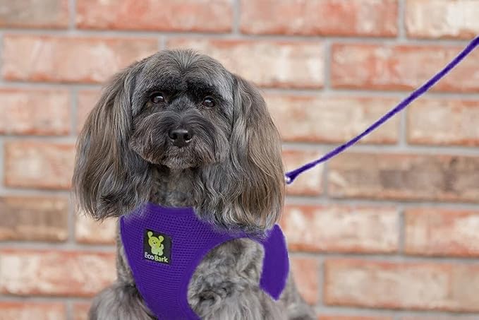 EcoBark Step in Dog Harness - Eco-Friendly Dog Harnesses for Small and Medium Dogs - Reflective and Adjustable Body Halter Vest - Soft Mesh Toy Breed Harness (Purple, Medium)