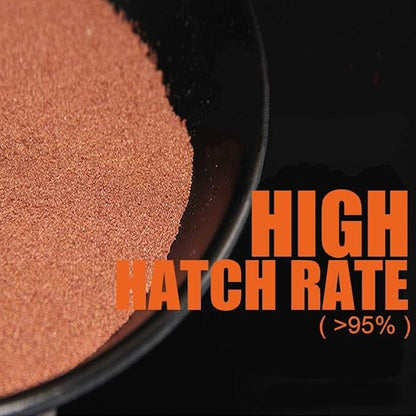 Brine Shrimp Eggs for Aquatic Foods Baby & Fry Foods The Popular 90% Hatch GSL Brine Shrimp Eggs (9 OZ)