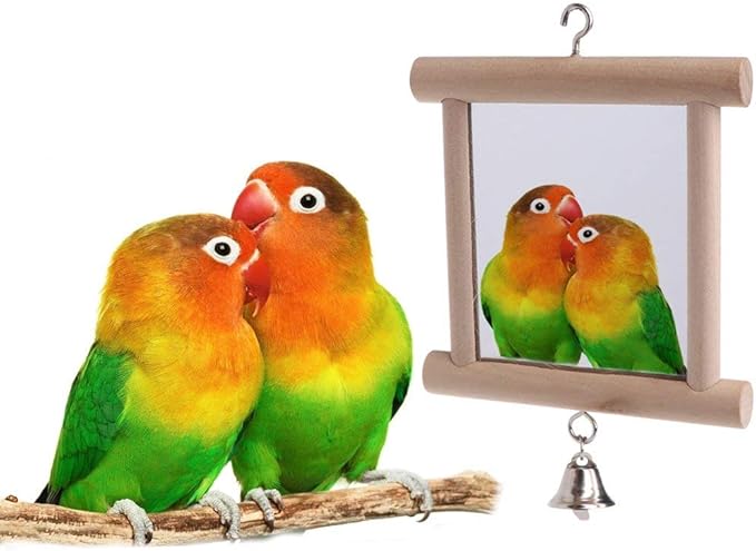 Bird Mirror Wooden Hanging Swing Interactive Play Toys for Small Parrot Budgies Macaw African Grey Parakeet Cockatiel Conure Lovebird Cage Accessories (Bird Mirror with Bell-2 PCS)