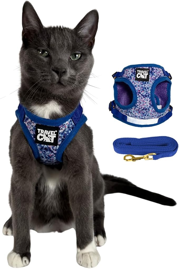 Travel Cat Harness and Leash Set - Adjustable Fit Mesh Cat Harness and Reflective Strap - Comfort Walking Vest for Kitten for Outdoor Walking, Hiking (Small, Groovy)