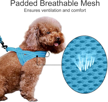 Plutus Pet No Pull Dog Harness with Breathable Mesh Padded, Adjustable Reflective Escape Proof Dog Harness, Quick Fit Dog Vest Harness for Small Medium Large Dogs(XS, Cyan)
