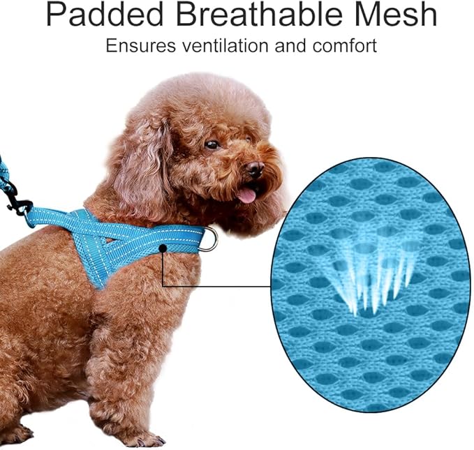 Plutus Pet No Pull Dog Harness with Breathable Mesh Padded, Adjustable Reflective Escape Proof Dog Harness, Quick Fit Dog Vest Harness for Small Medium Large Dogs(XL, Cyan)