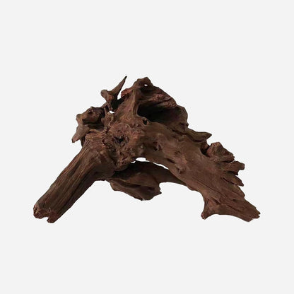 LYPHARD AQUARIUMS Natural Driftwood for Aquarium Decor, L15.35×W10.63×H10.24 Inches Large Drift Wood Decorations for Reptile Hide, Fish Tank, Optional Shapes