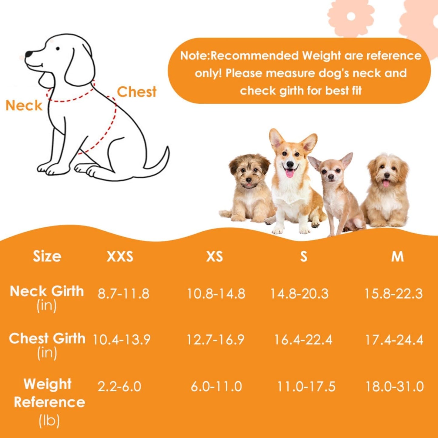 SlowTon Small Dog Harness - No Pull Dog Harness and Leash Set, Soft Mesh Lightweight Puppy Vest Harnesses, Adjustable Pet Harnesses for XXS XS Small Medium Easy Walk Hiking (Black, XS)