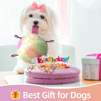 QDAN Dog Balls: Herding Ball for Dogs, Outdoor Toys Dog Soccer Ball with Straps, Interactive Pet Toys for World Cup Large Dogs Tug of War, Pet Birthday Gifts,Gradient Rainbow (8 Inch)