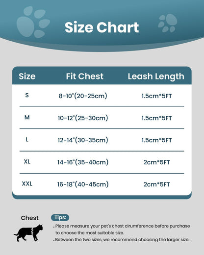 FAYOGOO Cat Harness, Cat Leash and Harness Set for Walking Escape Proof, Harness for Small Cats/Small Dogs, Large Kitten/Puppy Harness and Leash, Harness for Cats S-XXL(Tranquil Teal, XX-Large)