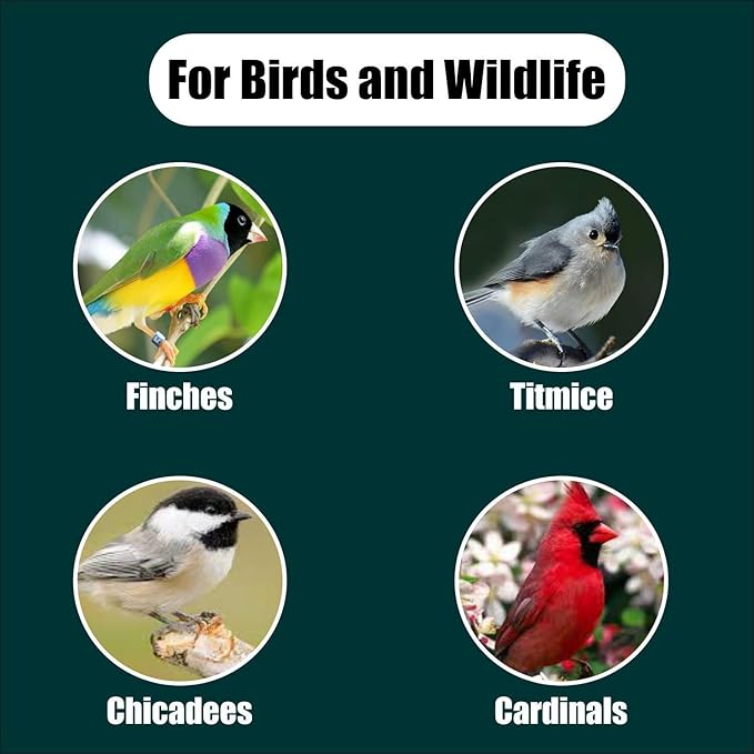 Wildlife Black Oil Sunflower Seeds for Birds and Wildlife, Non-GMO & USA Grown on Small Farms (25 lbs)