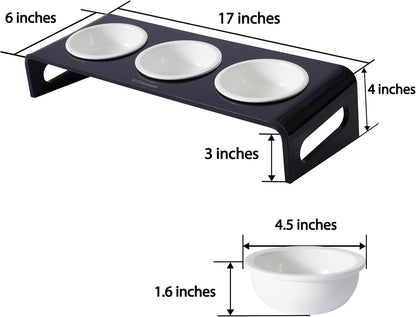 Tilted Raised Elevated Food and Water Bowls Stand for Cat or Small Dogs - Puppy's Clear Acrylic Stainless Steel 3 Dishes Holder for Boy or Girl Pet by WBhonghui (Black-3bowls)
