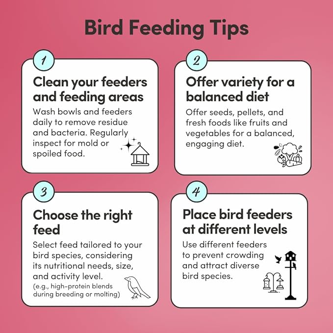 Mycelium Pet Bird Feed (5 LB Bag) | Organic Bird Food for Cockatiels, Lovebirds, Parakeets & Parrotlets | Supports Healthy Digestion & Energy | Non-GMO, Dust-Free Seed Blend | USA Made