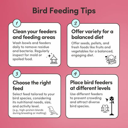 Mycelium Pet Bird Feed (5 LB Bag) | Organic Bird Food for Cockatiels, Lovebirds, Parakeets & Parrotlets | Supports Healthy Digestion & Energy | Non-GMO, Dust-Free Seed Blend | USA Made