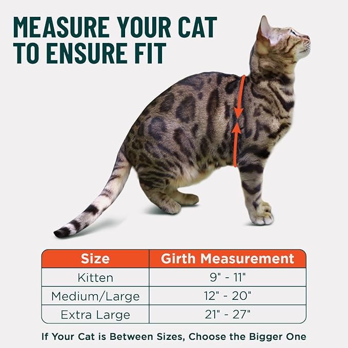 Houdini™ Escape Proof Cat Harness and Leash Set by OutdoorBengal – Turquoise, Medium Cat Harness for Walking