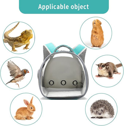 Bearded Dragon Lizard Backpack Carrier with Harness and Leash Set, Small Animal Carrier Backpack, Space Capsule Bubble Window, Small Pet Carrier Backpack, Airline Approved(Green)