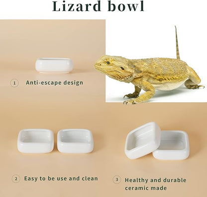 Reptile Food Bowls Ceramic Square Reptile Water Food Dish, Pet Food Bowl for Lizards, Young Bearded Dragons, Small Snakes, Gecko Tortoise Spider (White, Medium-2Pack)