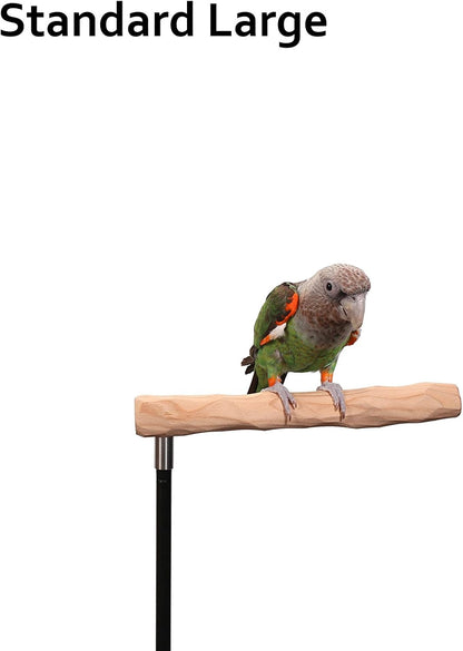 Parrot Training Perch Kit (Standard, Large)