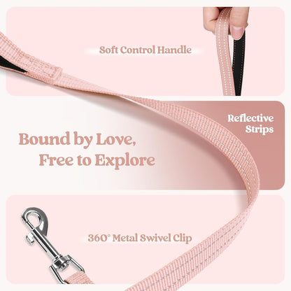 rabbitgoo Dog Harness Small Sized and Leash Set, Step in Soft Light Puppy Vest, Breathable Mesh Pet Harness, Reflective for Safe Outdoor Walking, Pink S