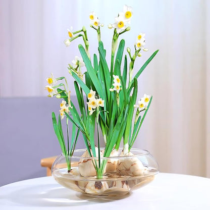 Fish Bowl Round Plastic Terrarium Bowl for Table Centerpiece Wedding Event Home Decoration Party Drinks