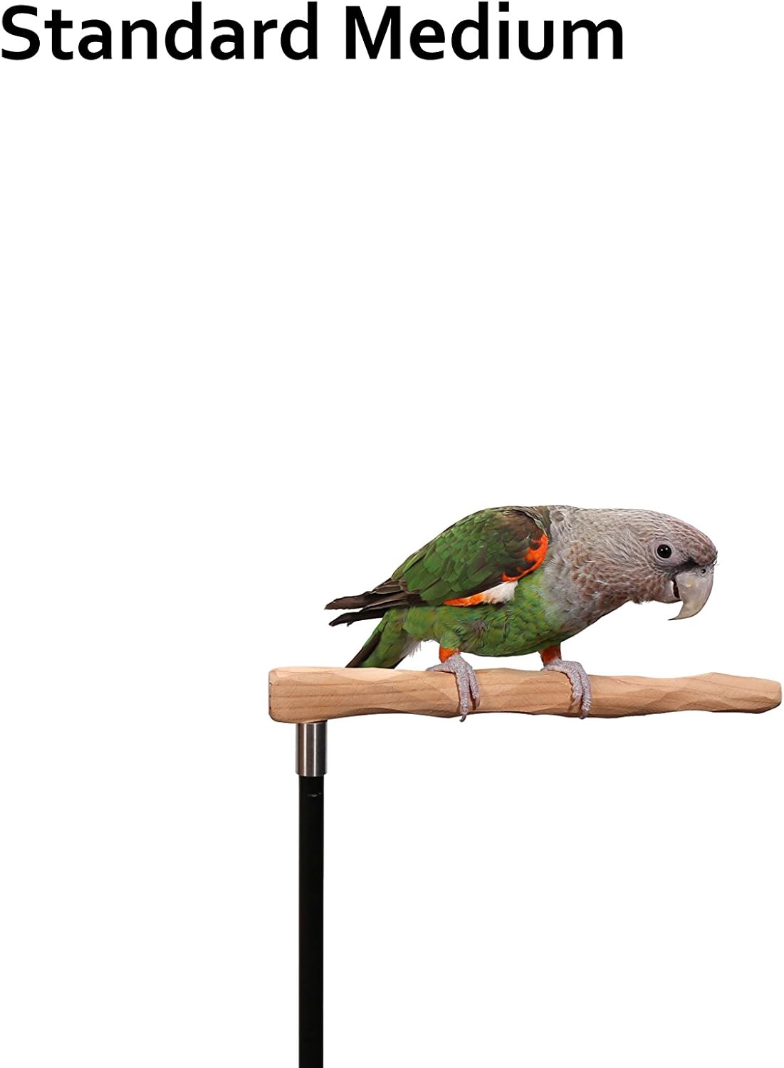 Parrot Training Perch Kit (Standard, Medium)
