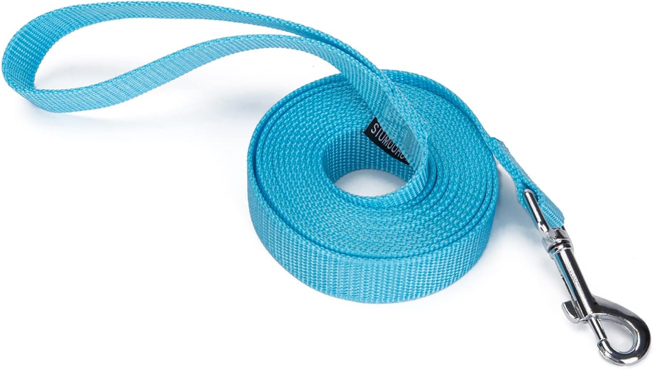 Strong Durable Nylon Dog Training Leash, 1 Inch Wide Traction Rope, 10 ft Long, for Small and Medium Dog (Mint Blue, 10 Feet)