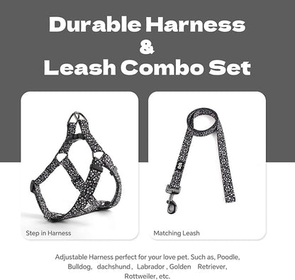 QQPETS Dog Harness Leash Set Adjustable Heavy Duty No Pull Halter Harnesses for Small Medium Large Breed Dogs Back Clip Anti-Twist Perfect for Walking