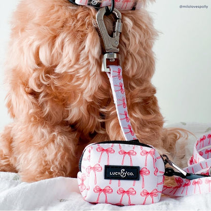 Lucy & Co. Designer Dog Leash - Pet Accessories - Thick Dog Leash - Padded Handle for Comfort - Ballet Bows - 5 Foot (White & Pink Bows, Small)
