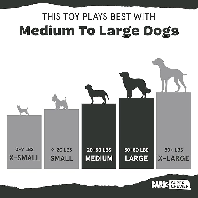 Barkbox Super Chewer Tough Dog Chew Toys for Aggressive Chewers, Dental Stimulating (Bacon Bone - Large)