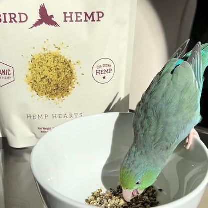 Hemp Well Organic Hemp Hearts for Birds - Reduces Feather Plucking, Promotes Relaxation, Immune Support, Organic, USA Grown, GMO Free – 8 Ounces
