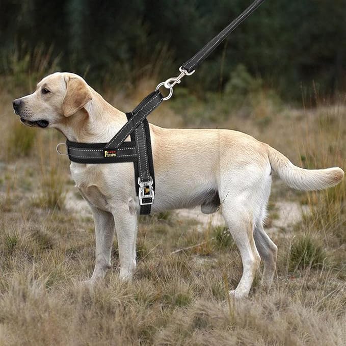 Plutus Pet No Pull Dog Harness with Breathable Mesh Padded, Adjustable Reflective Escape Proof Dog Harness, Quick Fit Dog Vest Harness for Small Medium Large Dogs(M, Black)