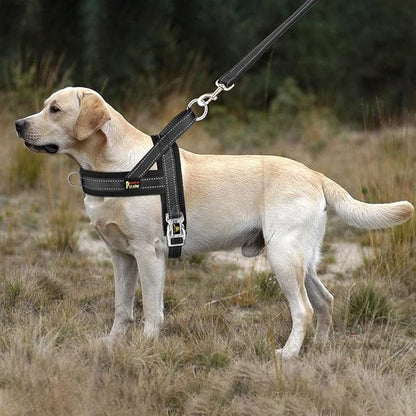 Plutus Pet No Pull Dog Harness with Breathable Mesh Padded, Adjustable Reflective Escape Proof Dog Harness, Quick Fit Dog Vest Harness for Small Medium Large Dogs(M, Black)