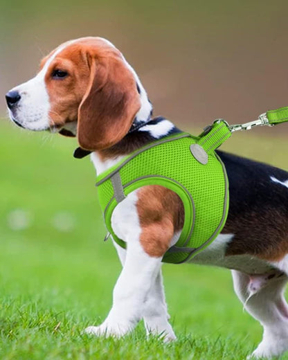 Joytale Small Dog Harness, Breathable Mesh Step-in Vest, Reflective Soft Padded Harnesses for Medium Dogs, Green, XL