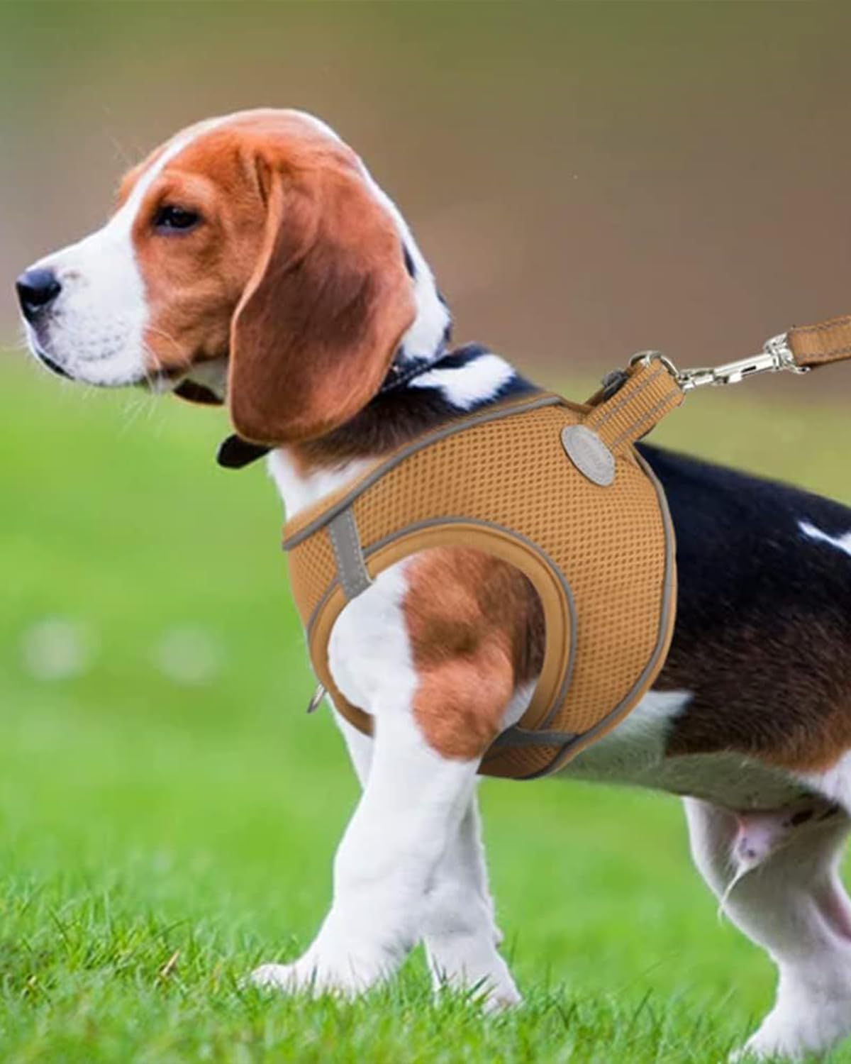 Joytale Small Dog Harness, Breathable Mesh Step-in Vest, Reflective Soft Padded Harnesses for Medium Dogs, Brown, XL