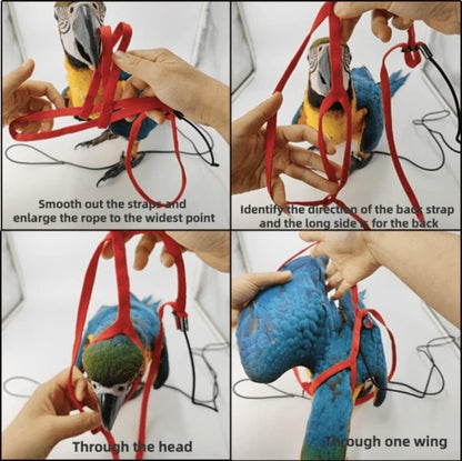 Adjustable Bird Harness with 78.7 Inch Leash, Outdoor Flying Training Rope Kit for Bird Parrots, Parrot Flying Rope Straps Outdoor Training Traction Rope for Small Medium Large Size Birds (L)