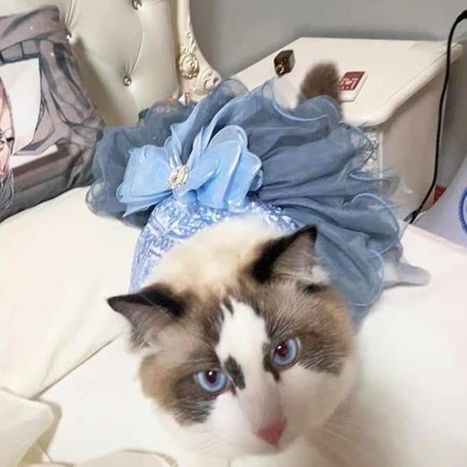 ANIAC Blue Cat Wedding Dress with Bow Knot Dog Wedding Outfit Formal Puppy Clothes for Girl Small Dog Luxury Pet Party Dress for Kitten Chihuahua Yorkie Pomeranian (Blue-2, X-Small)