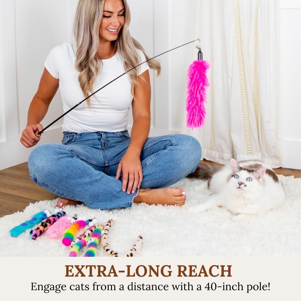 Cat Toys Set Cat Toy Wand Fishing Pole Retractable Teaser & Fuzzy Worm Interactive Kitten Toys Wand Attachments