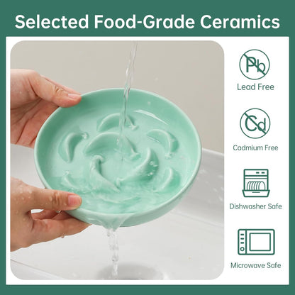 Ceramic Cat Slow Feeder Bowl - Pastel Series Cat Plate for Dry and Wet Food - Cute Maze Feeder Dish for Healthy Eating - Dishwasher Safe - 6.3''W x 1.2''H - 7 OZ - Mint Green