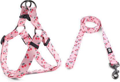 QQPETS Dog Harness Leash Set Adjustable Heavy Duty No Pull Halter Harnesses for Small Medium Large Breed Dogs Back Clip Anti-Twist Perfect for Walking (XS(12"-18" Chest Girth), Sakura Pink)