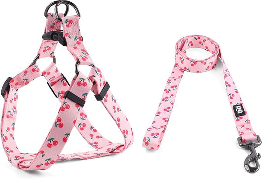 QQPETS Dog Harness Leash Set Adjustable Heavy Duty No Pull Halter Harnesses for Small Medium Large Breed Dogs Back Clip Anti-Twist Perfect for Walking (XS(12"-18" Chest Girth), Sakura Pink)