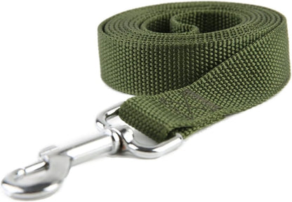 Nylon Dog Training Leash, Traction Rope, 4/5/6 Feet Long, 3/4 Inch 1 Inch Wide, for Small and Medium Dogs (1'' x 4 FT, Green)