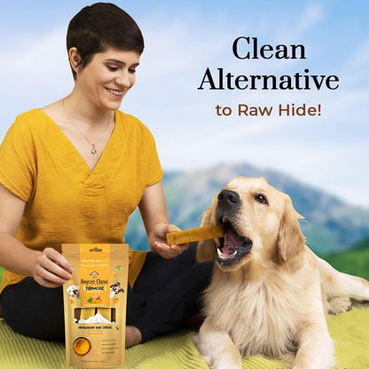 Dogsee Himalayan Yak Cheese Dog Chews with Turmeric/Curcumin (Medium - 2 Chews) | All Natural Long Lasting | Anti-inflammatory | Odorless High Protein Chew | Dog Treats for Active Chewers