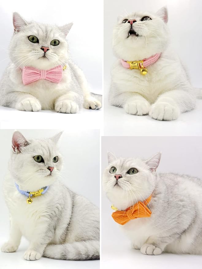 Personalized Cat Collar with Engraved Name and Phone Number - Customizable Kitten Collars for Boys and Girls (Stripe Velvet)