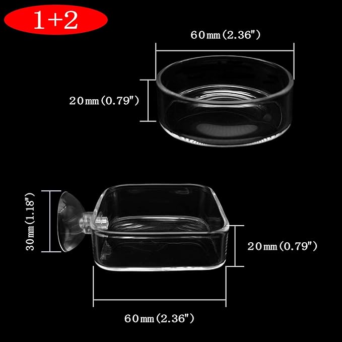 Aquarium Shrimp Feeder Dish Glass Fish Tank Feeding Bowls, 2pcs Square Glass Food Bowl (60mm), 1pcs Round Fish Feeding Bowls with Suction Cups (60mm)