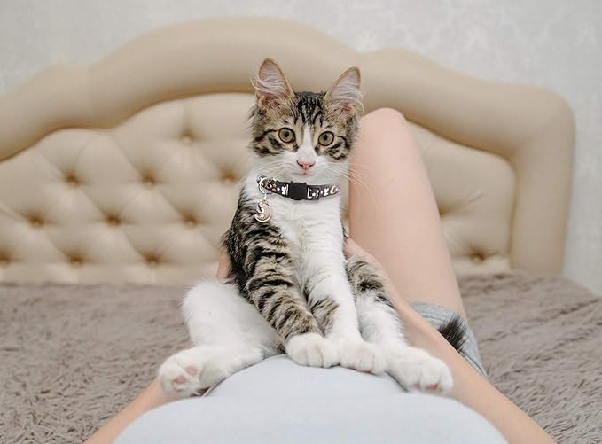 4 PCS Cat Collars with Bell Breakaway Gold Moons and Stars Adjustable Safety Kitten Collars with Charm Glow in The Dark