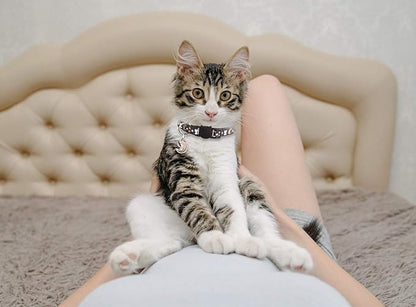 4 PCS Cat Collars with Bell Breakaway Gold Moons and Stars Adjustable Safety Kitten Collars with Charm Glow in The Dark