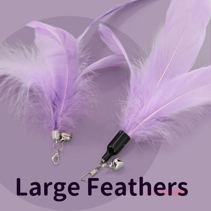 SONGWAY Cat Wand Toys for Indoor Cats - Cat Toy Set with Retractable Teaser Wand and 6 PCS Fairy Feather Toy Refills, Dragonfly Tassel Cat Toys Interactive, Purple