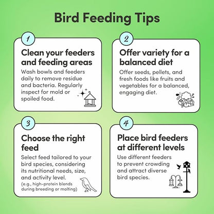 Mycelium Parakeet Feed (5 LB Bag) | Organic Bird Food for Parakeets, Budgies & Small Pet Birds | Supports Skin & Feather Health | Complete, Nutritious Diet | Dust-Free, Non-GMO, Made in USA