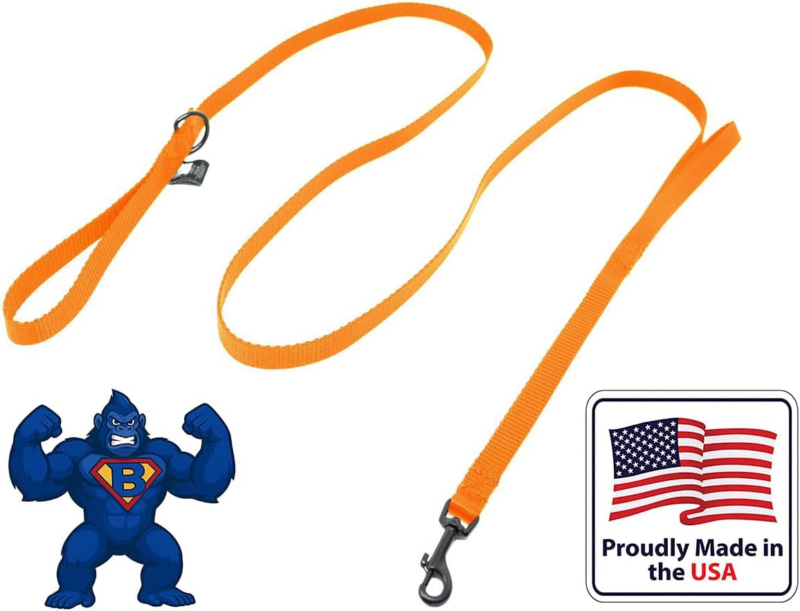 Dog Leash for Teacup Toy Minature and Small Dogs Primary & Traffic Handle The Bulk Multiple Sizes & Colors 5/8” Width Nylon Proudly Made in The USA (Hot Orange, 8 Foot)