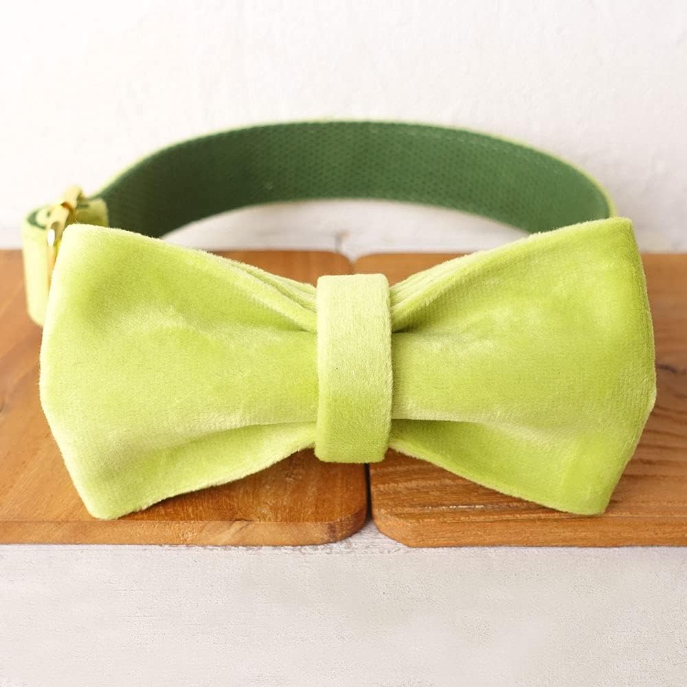 PETDURO Custom Dog Collar Personalized with Name Engraved Quick Release Rose Gold Metal Buckle for Large Medium Small Girl Dogs - Dog Leash and Bow Tie Available - Soft Comfy Velvet (Mint Green, M)