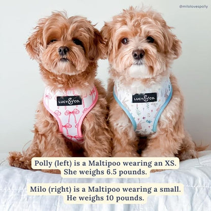 Lucy & Co. Cute Reversible Dog Harness Walking Halter - Best Designer Pet Harnesses for XS - XL Dogs - Padded Adjustable Vest for Easy Walking (Medium, Ballet Bows - White & Pink Bows)