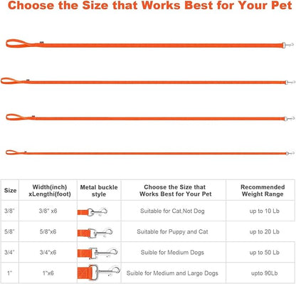 AMAGOOD 6 FT Puppy/Dog Leash, Strong and Durable Traditional Style Leash with Easy to Use Collar Hook, Great for Small, Medium and Large Dogs (3/4 in x 6 ft, Black and Orange 2-Pack)