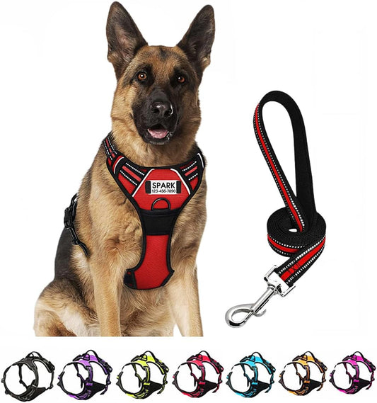 Personalized Custom No Pull Dog Harness Leash Set with Name Phone Number-Heavy Duty Reflective Soft Padded Dog Vest Harness with Easy Control Handle for Small Medium Large Dog-2 Leash Attachments